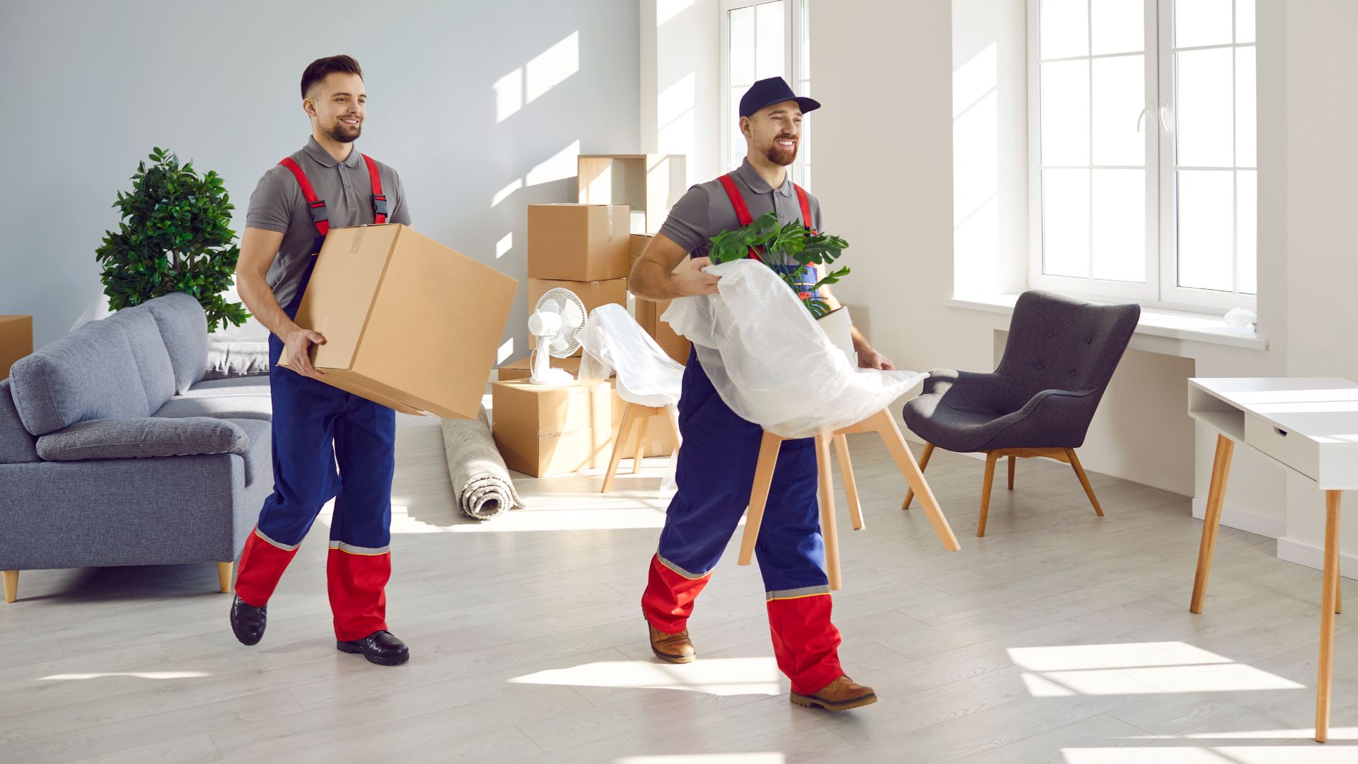 Two uniformed movers carrying household items through a bright, modern living room. The mover in front is holding a chair wrapped in protective plastic while also balancing a potted plant, and the mover behind is carrying a large cardboard box. Sunlight streams through large windows, illuminating packed boxes, a sofa, and other furniture around them.